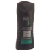 Axe Apollo Duschgel Flasche 250ml