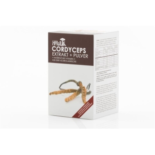 Hawlik Cordyceps Extrakt + Pulver Kapseln 120 Stück