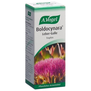 Vogel Boldocynara Leber-Galle Tropfen Flasche 50ml