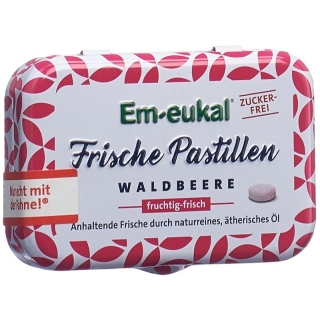 Soldan Em-Eukal Pastillen Waldb Zuckerf Xyl 20g