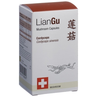 LianGu Cordyceps Mushrooms Capsules Can 180 Pieces