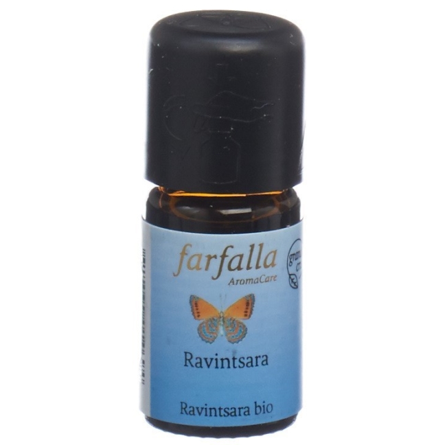 Farfalla Ravintsara Ätherisches Öl Bio Grand Cru 5ml