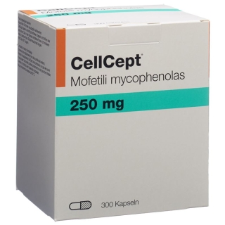 Cellcept (pi) Kapseln 250mg 300 Stück