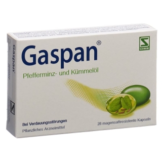 Gaspan Kapseln Magensaftresistent 28 Stück