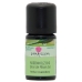 Damascena Rosenholz Ätherisches Öl Bio Flasche 5ml