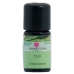 Damascena Tulsi Ätherisches Öl Trad Flasche 5ml