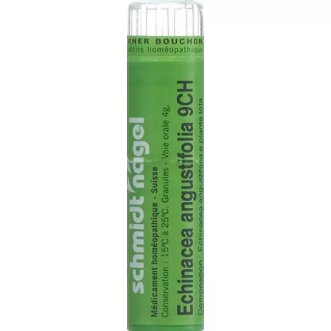 SN ECHINACEA ANGUSTIFOLIA CH9 SN ECHINACEA ANGUSTIFOLIA CH9