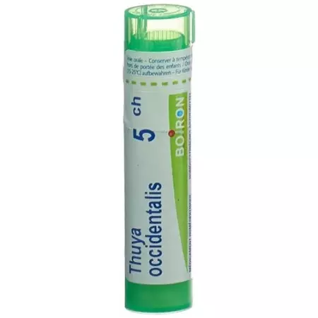 Boiron Thuya Occidentalis в гранулах C 5 4г Boiron Thuya Occidentalis в гранулах C 5 4г