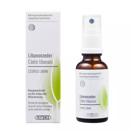 PHYTOMED Knospenextrakt Libanonzeder