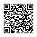 QR Bachbluten Holly Nr. 15 жидкость 20мл