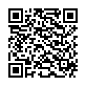 QR ZWICKY BIO HIRSEFLOCKEN