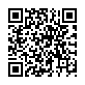 QR Susi Windeleinlagen 80 штук