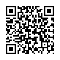 QR HAUSMANN PINZETTE SCHRAEG SCHW