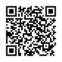 QR VISOMAT HANDY SOFT BLUTDRUCK