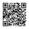 QR Medela Stilleinlagen waschbar 4 штуки