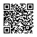 QR SCHAER HAMBURGER GLUTENFREI