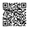 QR Boiron Zincum Metallicum шарики C 30 1 доза