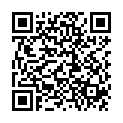 QR STARWAX THE FABUL SCHMIERSE DF