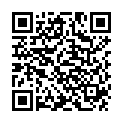 QR PUKKA DREI INGWER TEE BIO