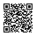 QR Pic Insumed Spritzen Insulin Luer Nadel 30x 1мл