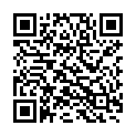 QR Spagyrik Vaccinium Myrtillus 500мл