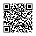 QR Spagyrik Taraxacum Officinalis 500мл