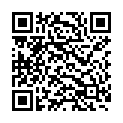 QR Spagyrik Matricariae Chamomilla 500мл