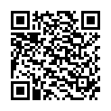 QR Medela Milchauffangschalen 1 Paar