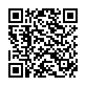 QR RAEDIBUZ FLECKENMITTEL