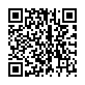 QR GLOBOL FLIEGENFAENGER