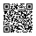 QR Herba Fohnhaarburste 27мм Rund 5264