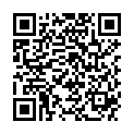 QR POLYMEM SILVER SCHAUM 10.8X32C