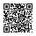 QR CAVAFIX CERTO 375 ZENTRALV