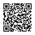 QR BORT STABILO KNIE SCHNUERKAPPE