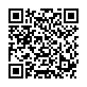 QR PEHA-INST LOEFFEL KOMBINATION