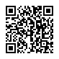 QR INCIDIN PLUS FLCHENDESINFEKTIO