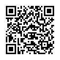 QR BORT STABILO RUECKBDGE M PELXL