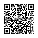 QR BUTSCH GIPSSCHERE WOLFF 24CM