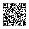 QR WITSCHI KOPFKISSEN NR 3 AZ