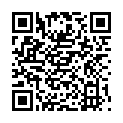 QR STAUDT MANSCHET HANDSCHUH L