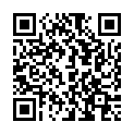 QR BILASTO PRO VER RUECKEN BDG L