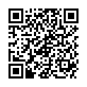 QR VLIWASORB PR WUNDV 12.5X22.5CM