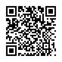 QR POLYMEM SHAPE 3 SILV Wundv 5x7,6см Овал 20 x