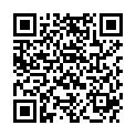 QR PEHA-INSTRUMENT SURGI BAS FEIN