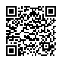 QR PEHA-INSTRUM CHIR SCHERE SPI/S