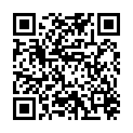 QR SIGV 503 SCHENKEL HALT KU S RE