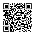 QR SIGV 503 SCHENKEL HALT LA S LI