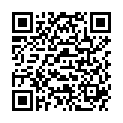 QR SIGV 503 SCHENKEL HALT LA M LI