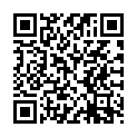 QR SIGV 503 SCHENKEL HALT LA M RE