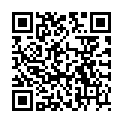 QR SIGV 503 SCHENKEL HALT KU L RE